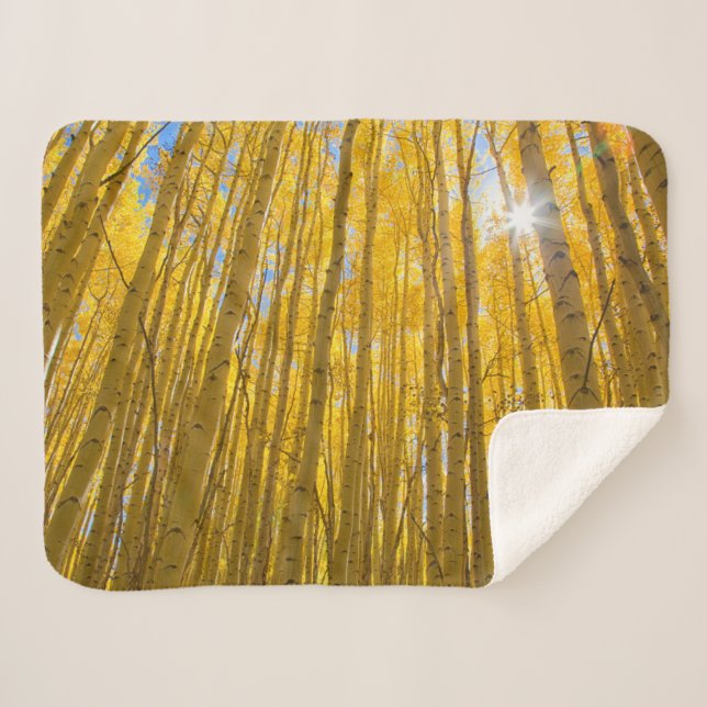 White River National Forest Sherpa Blanket (Front (Horizontal))