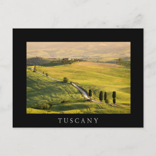 White road in Tuscany landscape black postcard