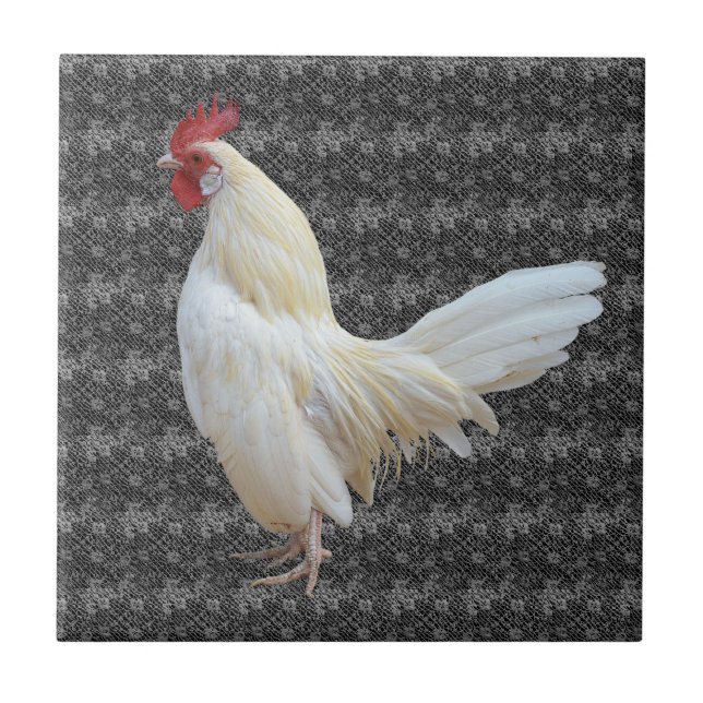 WHITE ROCK ROOSTER CERAMIC TILE (Front)
