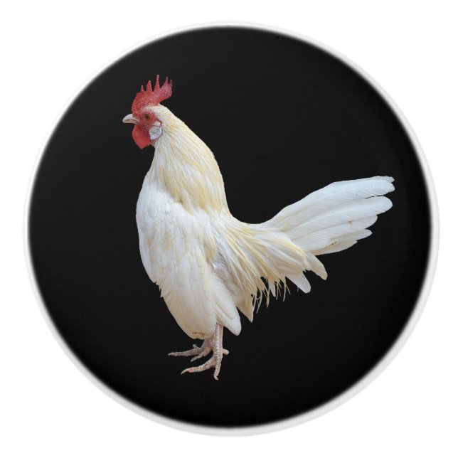 WHITE  ROOSTER* CERAMIC KNOB (Front)