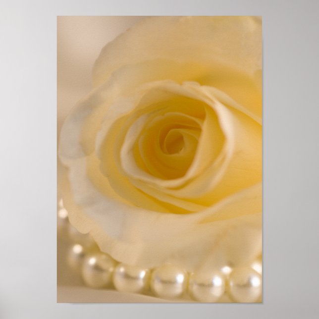White Rose and Pearls Poster (Front)