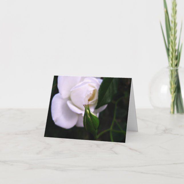 White Rose and Rose Bud Note Card (Front)