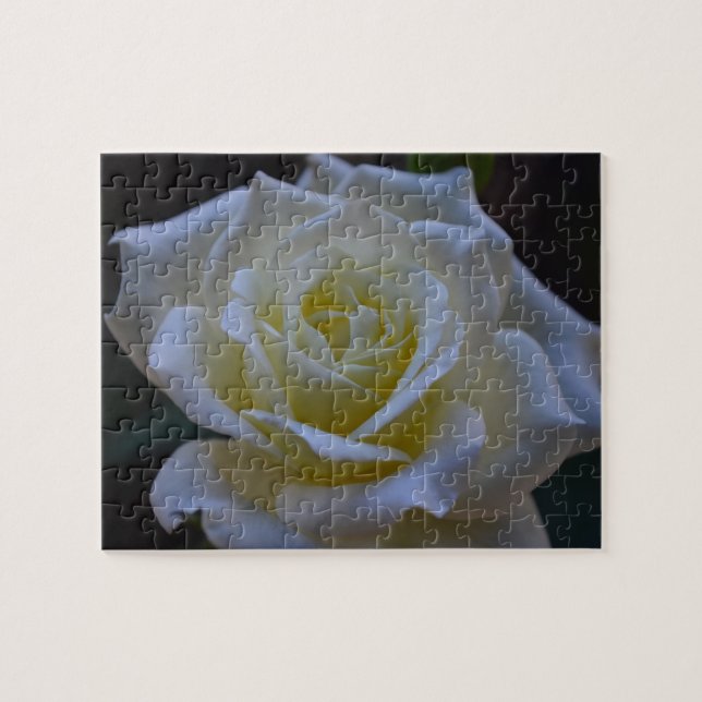 White rose at dusk jigsaw puzzle (Horizontal)