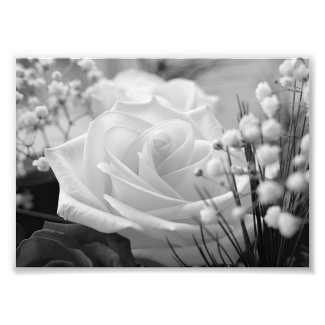 White Rose B&W Flower Photo Print (Front)