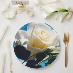 White Rose Beauty Paper Plate