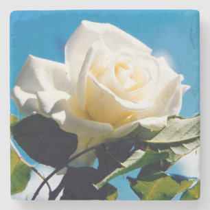 White Rose Beauty Stone Coaster