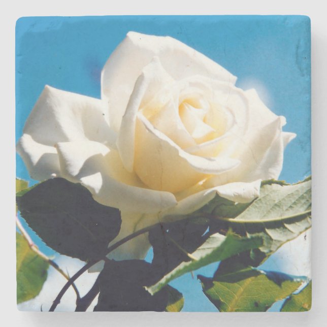 White Rose Beauty   Stone Coaster (Front)