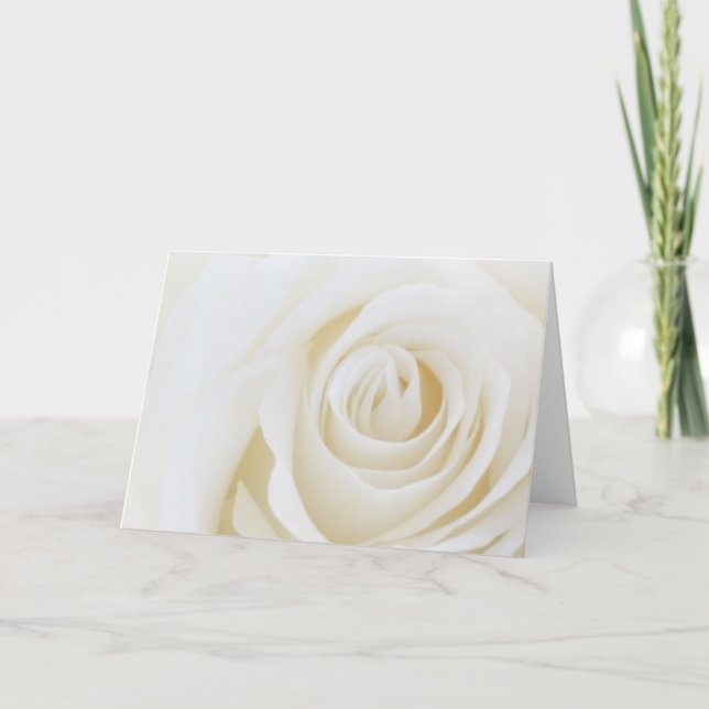 White Rose Blank Card (Front)