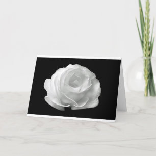 White Rose Blossoms Flowers Garden Peace Love Art Card