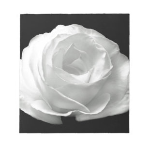White Rose Blossoms Flowers Garden Peace Love Art Notepad