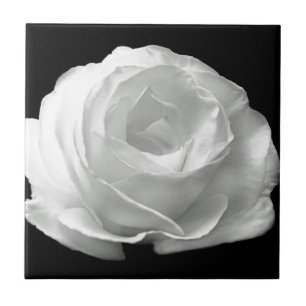 White Rose Blossoms Flowers Garden Peace Love Art Tile