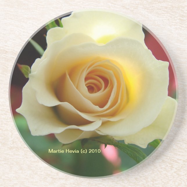 White Rose Bud - Coaster (Front)