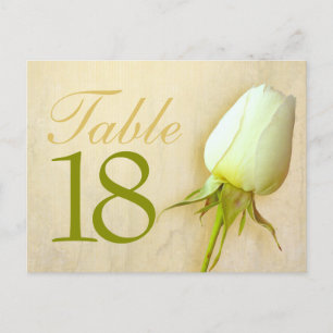 White rose bud wedding table number 10-39 postcard