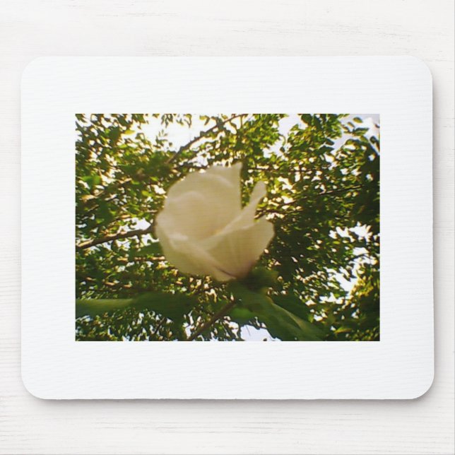 White Rose Budding Bloom Mouse Pad (Front)