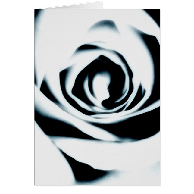 White Rose Card (Front)