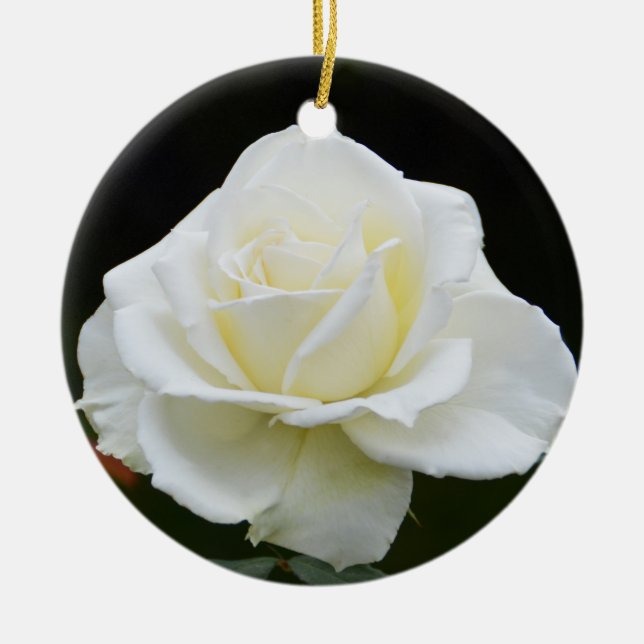 White rose ceramic ornament (Front)