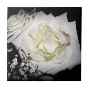 White Rose Ceramic Tile