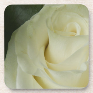 White Rose Coaster
