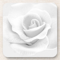 White Rose