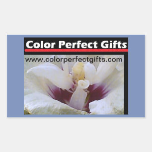 White Rose Demonstation Rectangular Sticker