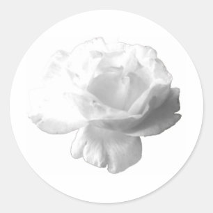 White Rose Design Classic Round Sticker