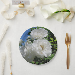 white,rose,elegant,vintage,floral,flowers,romantic paper plate