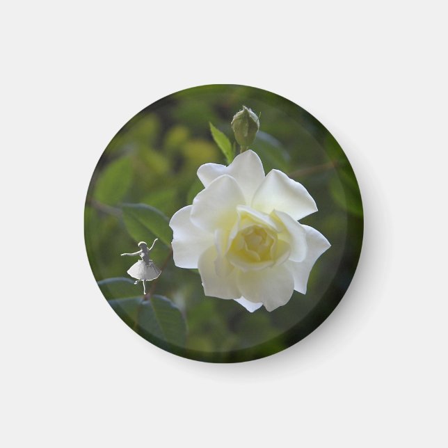 White Rose Fairy Magnet (Front)