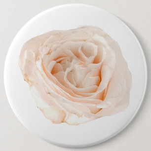 White Rose Flower 6 Cm Round Badge