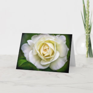 White Rose Flower Art Blank Note Card