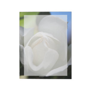 White rose flower.  Floral photography. Notepad