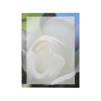 White rose flower.  Floral photography. Notepad