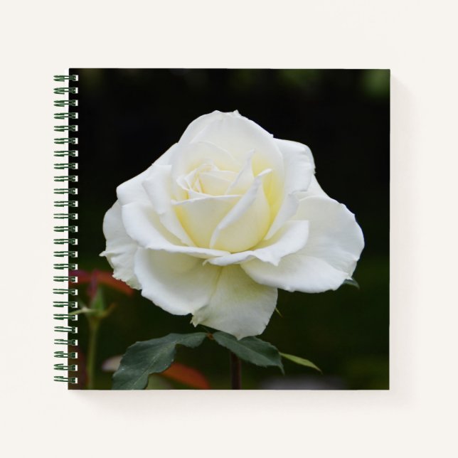 White rose flower notebook (Front)