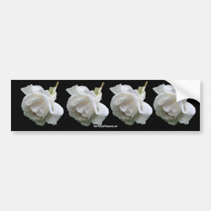 White Rose Flower Photo Bumper Sticker