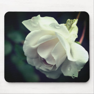 White Rose Flower Raindrop Mouse Pad