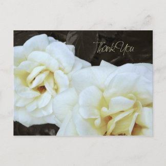 White Rose Flower | Thank You Postcards