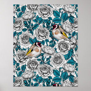 White rose flowers and goldfinch birds poster