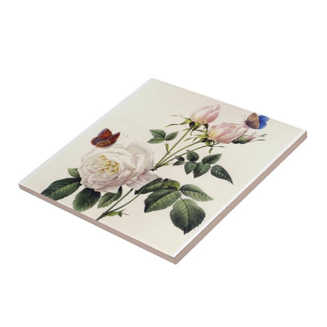white  rose  flowers, Pierre Joseph Redouté Ceramic Tile (Side)