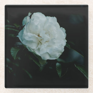 White Rose Glass Coaster