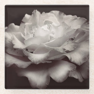 White Rose Glass Coaster