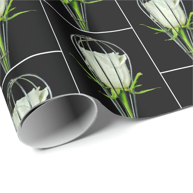 white rose in wire whisk wrapping paper (Roll Corner)
