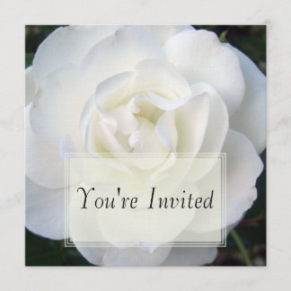 White Rose Invitations