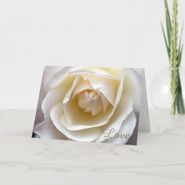 White Rose Love Card (Front)