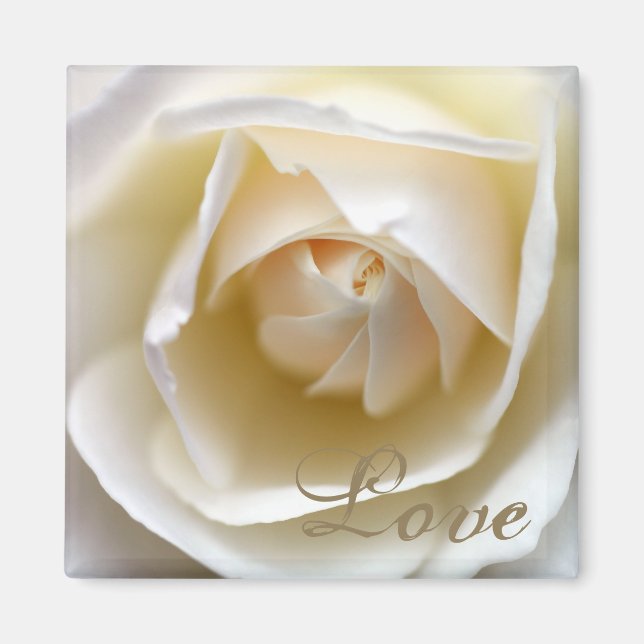 White Rose – Love Magnet (Front)