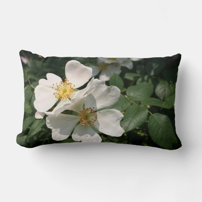 White Rose Lumbar Cushion (Front)