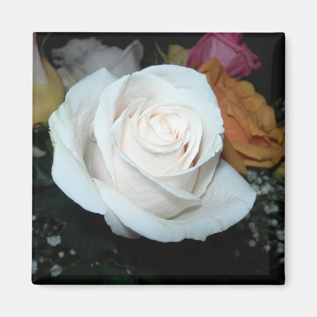 white rose magnet (Front)