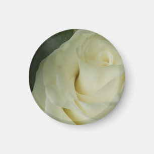 White Rose Magnet