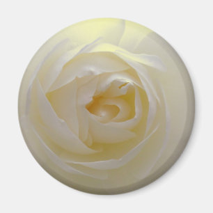 White Rose Magnet Flower Gifts Keepsake Decor
