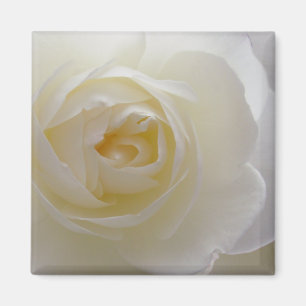 White Rose Magnet Flower Gifts Keepsake Decor