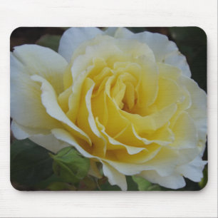 White Rose Mouse Pad