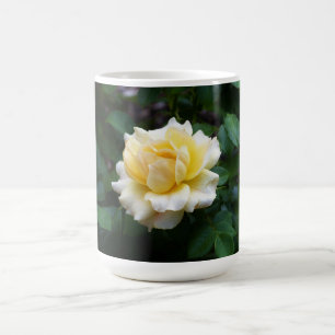 White Rose Mug